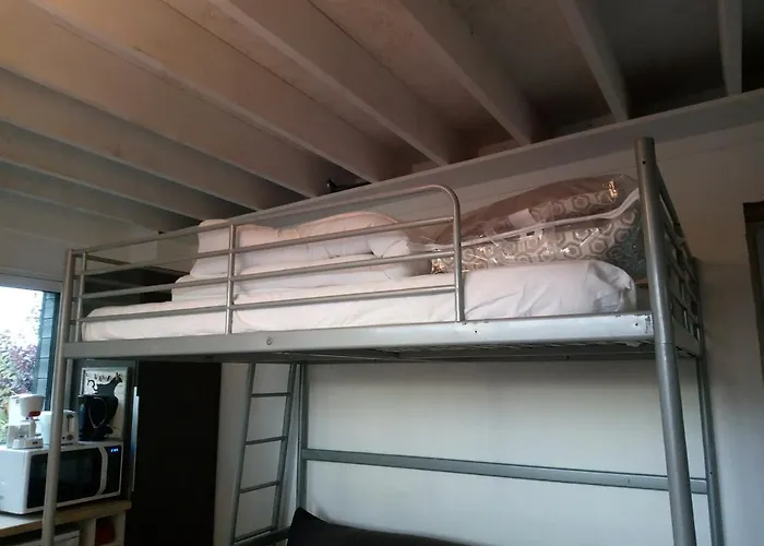 Meuble 1 Piece Entierement Equipe Sans Cloisons Separatives Apartman