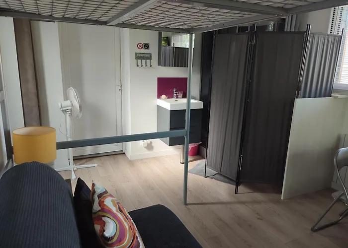 Meuble 1 Piece Entierement Equipe Sans Cloisons Separatives Appartement *